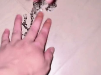 网红拉拉绳,引领潮流的健身神器